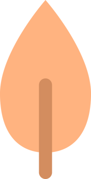 Orange leave icon png