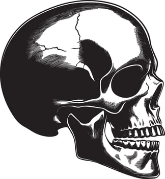 Skull skeleton head side view clean simple silhouette black vector