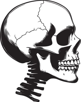 Skull skeleton head side view silhouette black vector