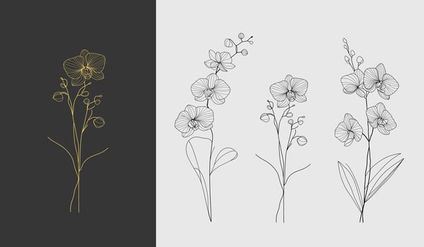 Minimalist set of orchid line art featuring a gold design on a dark background and black outlines on a light background. illustration for labels, save the date, wedding invitation. vector