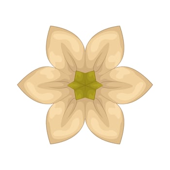 Illustration of jasmine flower vector
