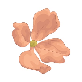 orange flower Illustration vector