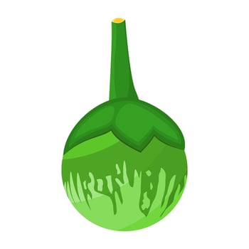 Green Wren Eggplant Is A Fruit That Has A Soft Taste, Smooth Texture, Chewy And Slightly Creamy. This Fruit Grows Widely In Tropical And Subtropical Climates vector
