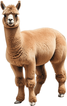 Alpaca Wizard Magic Wand Spell Casting. . png