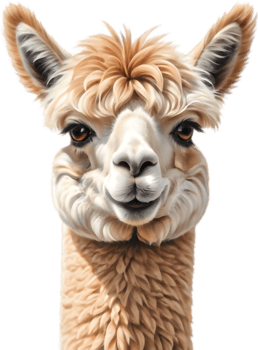 Alpaca Pirate Treasure Map Adventure Clipart. . png