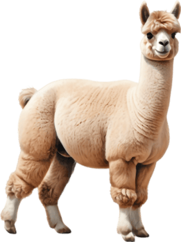 Alpaca Ballerina Tutu Dancing Art. . png
