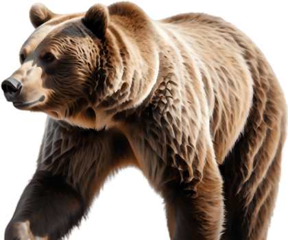 Grizzly Growling at Approaching Danger. . png