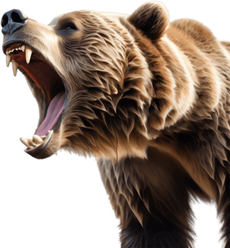 Bear Cooling Off in Stream. . png