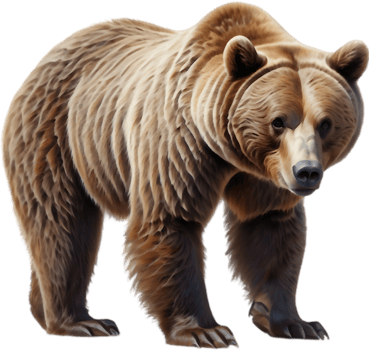 Cartoon Grizzly with Fishing Rod. . png