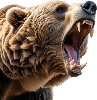 Bear Cub Playing with Pine Cone. . png
