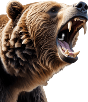 Grizzly Bear Tracks Crossing Stream. . png