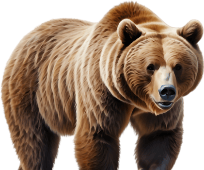 Bear Fishing at Waterfall Illustration. . png