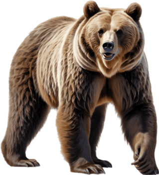 Bear Foraging in Autumn Forest. . png