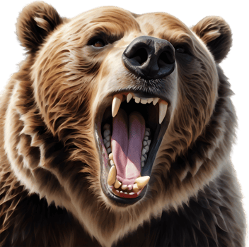 Brown Bear Scratching an Itch. . png