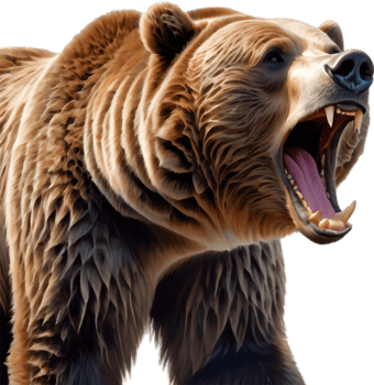 Grizzly Bear Roaring in Rainstorm. . png