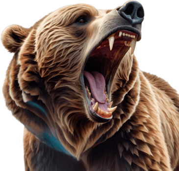 Bear Catching Leaping Salmon Midair. . png