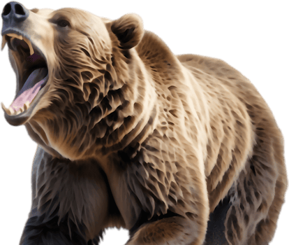 Brown Bear Relaxing in Sunlight. . png