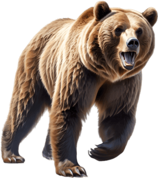 Grizzly Bear Pawprint Trail Design. . png