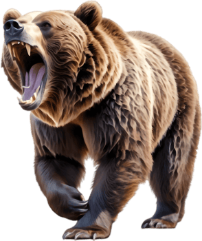 Grizzly Bear Snarling Close-up. . png
