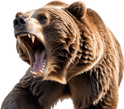 Grizzly Face Emerging from Forest. . png
