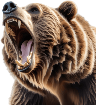 Hibernating Bear in Cave Drawing. .Bear Catching Fish from Stream. png