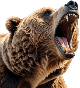 Angry Grizzly Showing Teeth and Claws. . png