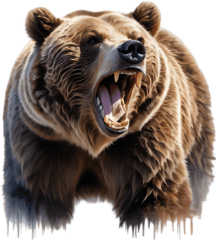 Cute Cartoon Grizzly Cub Playing. . png