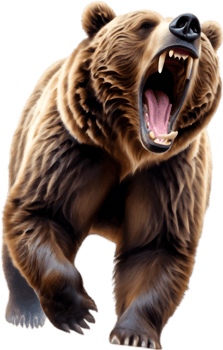 Grizzly Bear Paw Print Design. . png