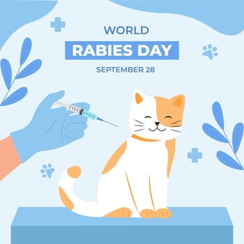 World rabies day. Social media post, poster. vector