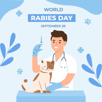 World rabies day. Medical treatment,vaccination animal health careSocial media post, poster. vector