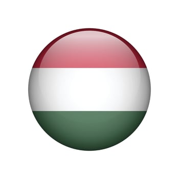 Flag of Hungary icon symbol isolated on white background. illustration vector