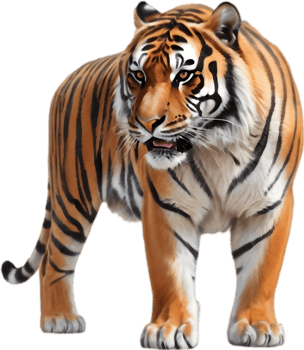 Vibrant and Lively Tigers Perfect for Marketing. . png