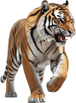 Fierce Tiger Illustration for Creative Projects. . png