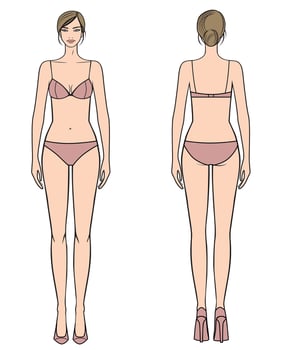 Young woman body template, front and back vector