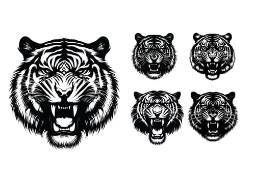 Majestic Black and White Tiger Illustration vector