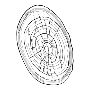 wooden cut element vector