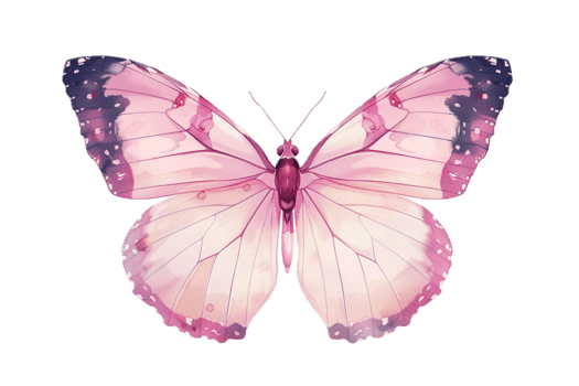 Close-up of pink butterfly in flight. png