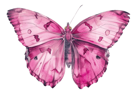 Detailed pink butterfly with intricate wing pattern. png