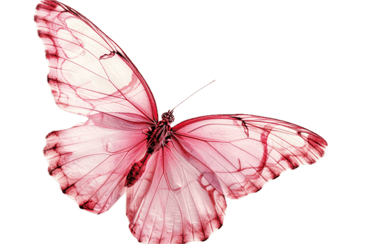 Delicate pink butterfly with translucent wings. png
