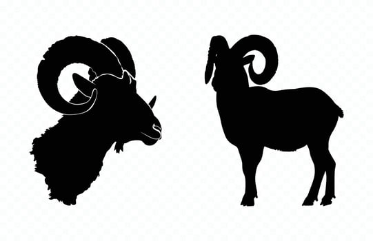 Ram Horns Silhouette Black Clipart vector