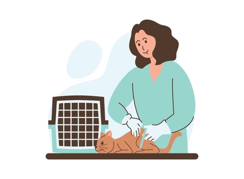 A cartoon illustration of a veterinarian administering a vaccination to a cat in a clinic vector