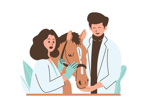 A cartoon illustration of a veterinarian examining a horse in a clinic, while the horse's owner looks on with concern. vector