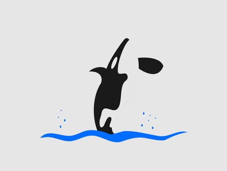 flat design killer whale illustration vector