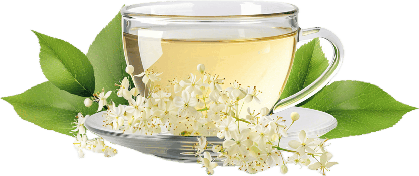 Herbal Tea with Fresh Leaves and Blossoms. png