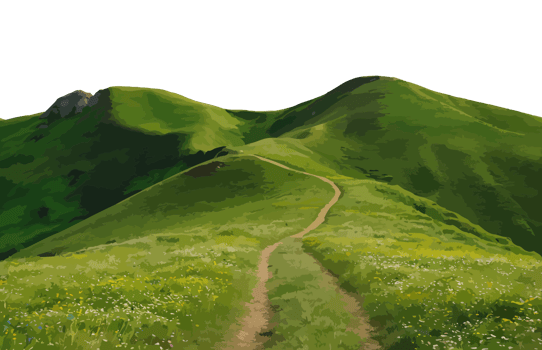 A path leading up a hill with green grass and flowers png