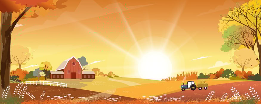 Autumn landscape with forest tree background,Cartoon Scene Fall Season Mountain,Meadow,Orange Foliage,Cloud,Yellow Sunset Sky, nature morning sunrise grass field,maple tree,farm land in country vector