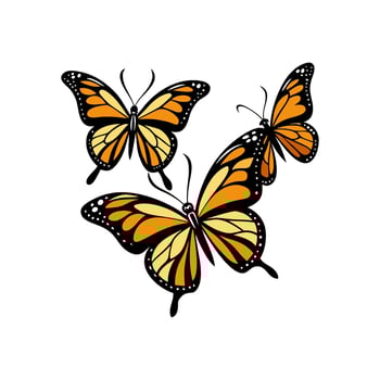 Monarch butterfly illustration vector