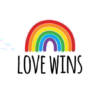 Lgbt rainbow flag heart with love wins vector