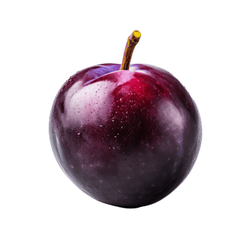 Juicy plum fruit depicted in full detail, vibrant purple skin and succulent flesh visible, isolated against a transparent backdrop. png