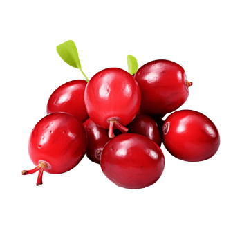 Cranberry fruit depicted in full body detail against a transparent background, showcasing its vibrant red hue and natural texture. png